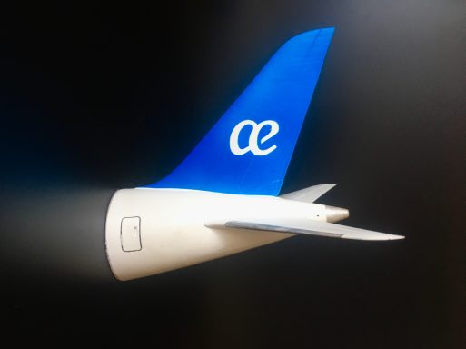 Boeing 787 Custom Tail